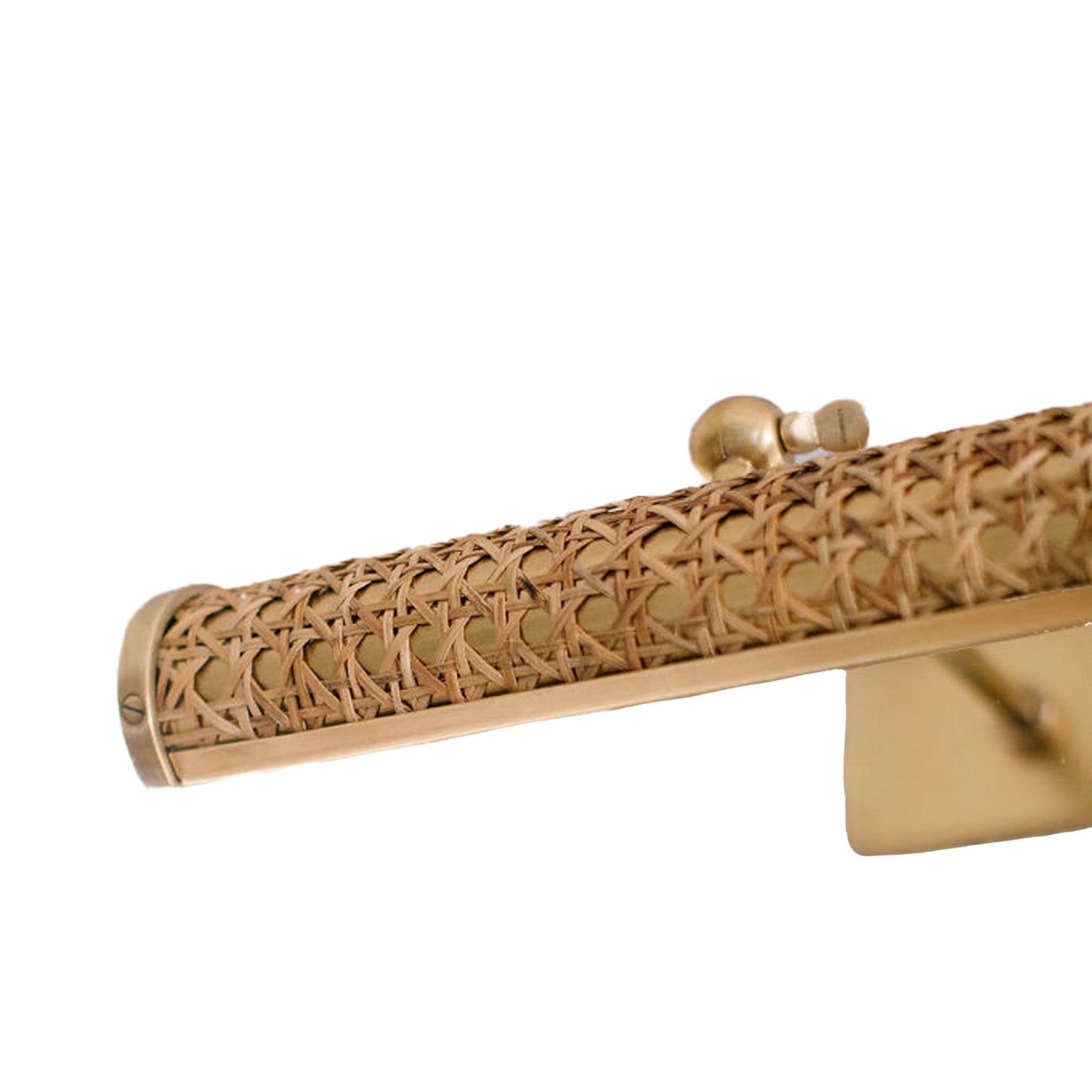 Cane Picture Light