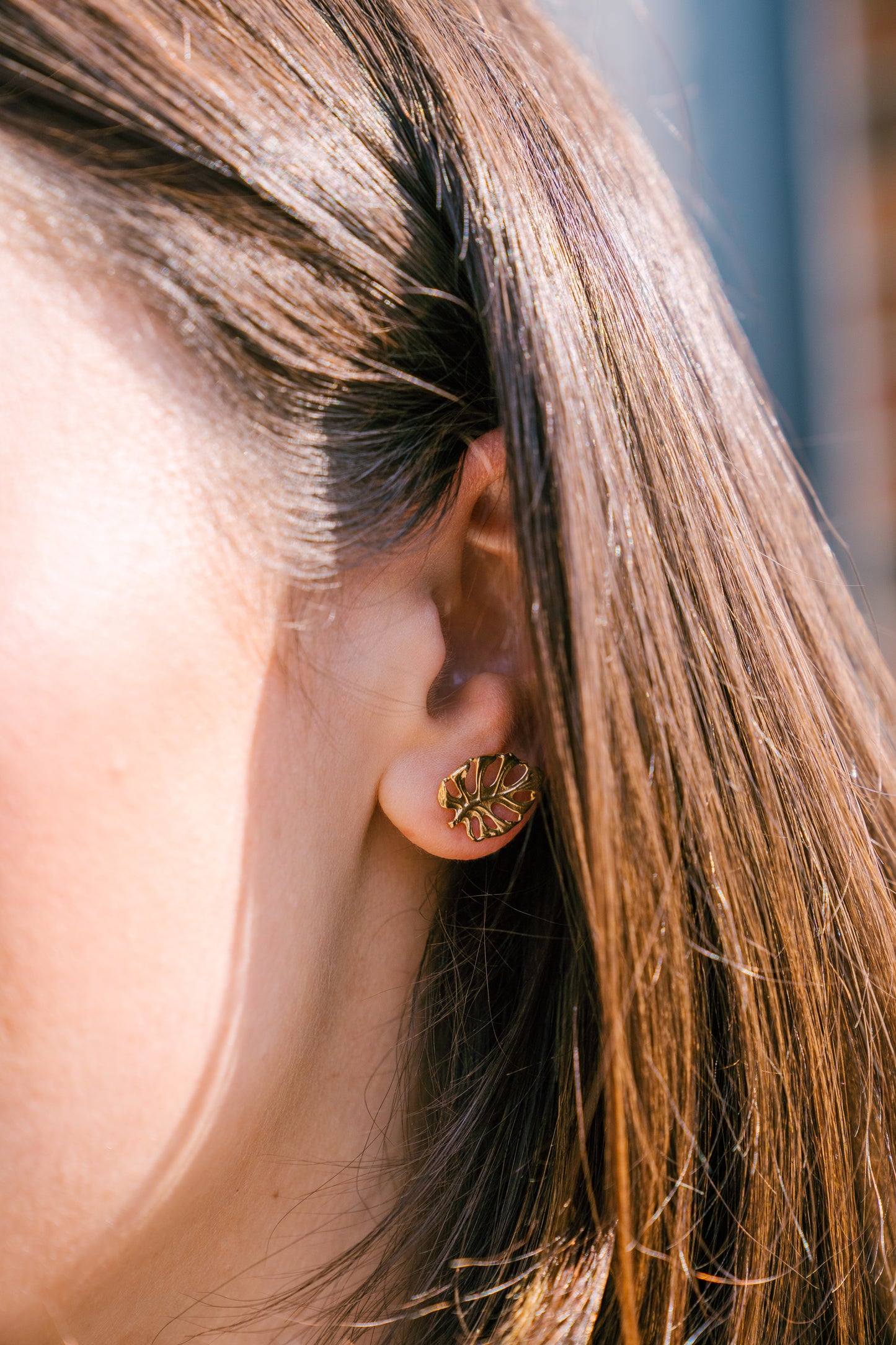 Monstera Earrings