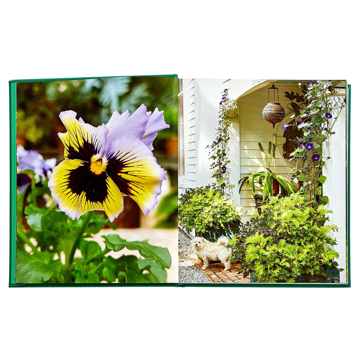 Bunny Williams: Life in the Garden