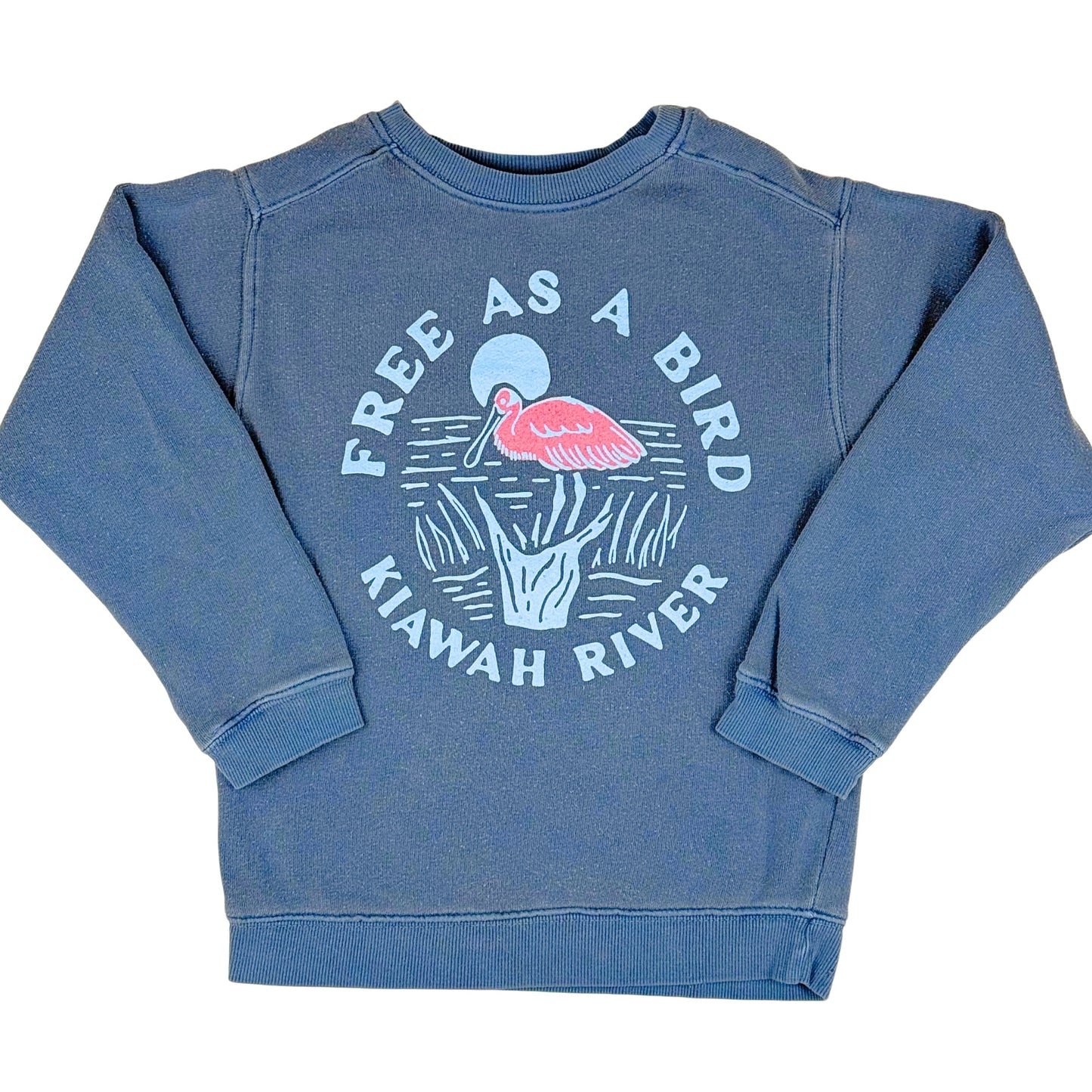 Children's Free as a Bird Spoonbill Sweatshirt - Pacific Blue