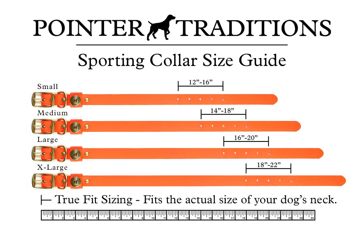 Sporting Dog Collar - Coral