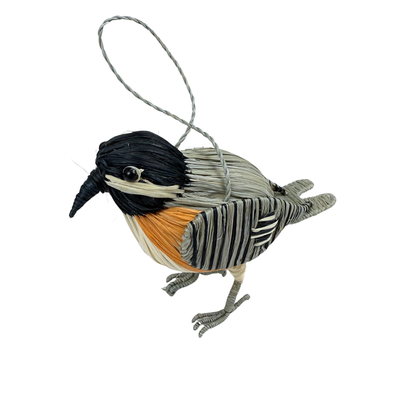 Handwoven Bird Ornament | Peruvian Amazon Artisan