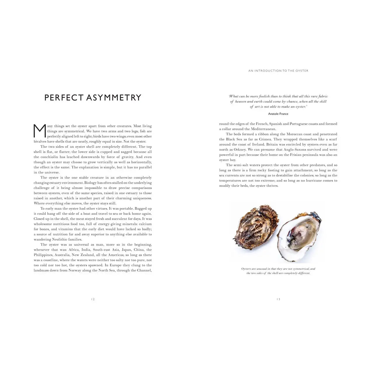 Oyster Book