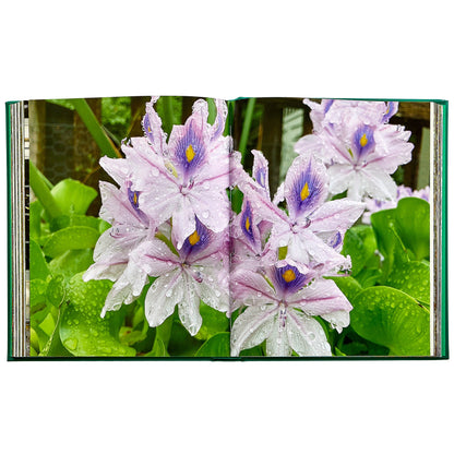 Bunny Williams: Life in the Garden