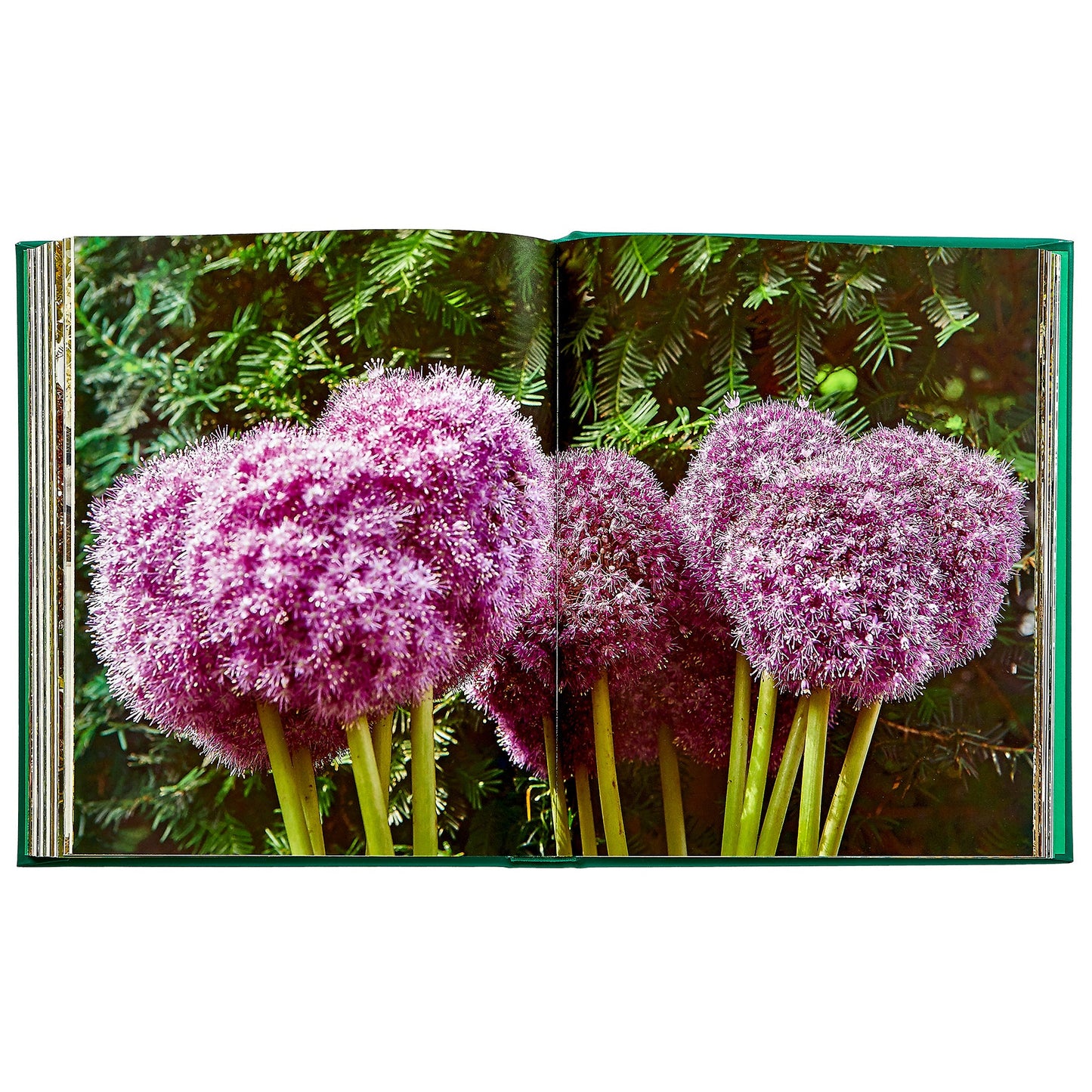 Bunny Williams: Life in the Garden