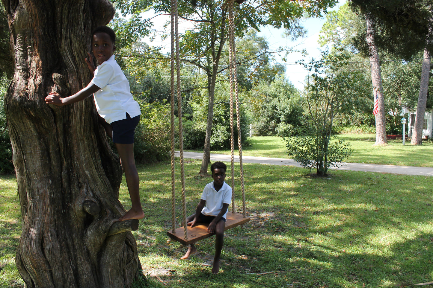 The Manor Tree Swing