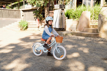 Classic Bike - Pale Mint
