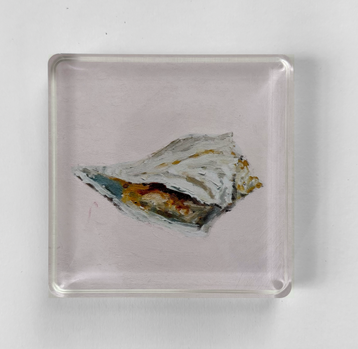 Whelk Acrylic Art Block