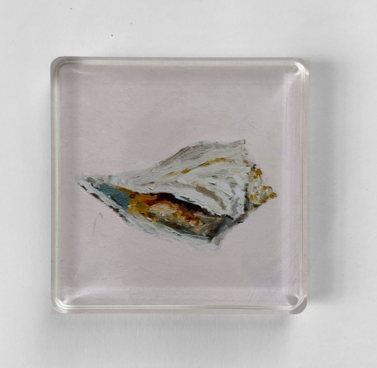 Whelk Acrylic Art Block