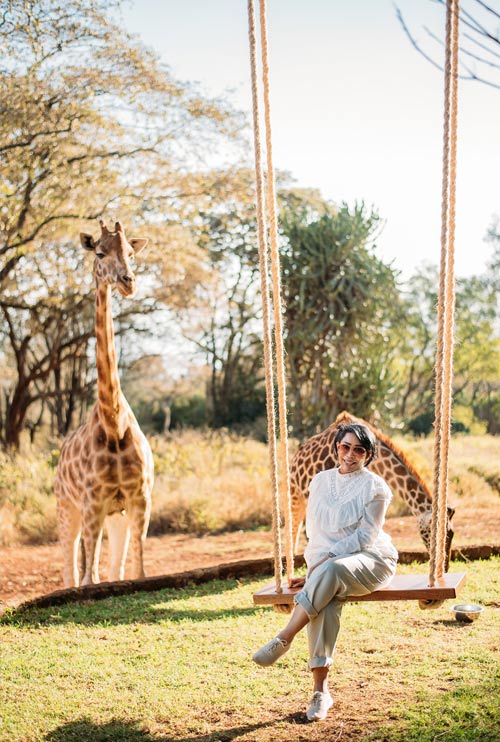 The Manor Tree Swing