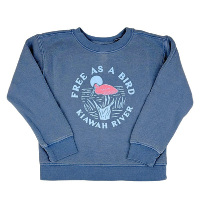 Toddler Free as a Bird Spoonbill Sweatshirt - Pacific Blue