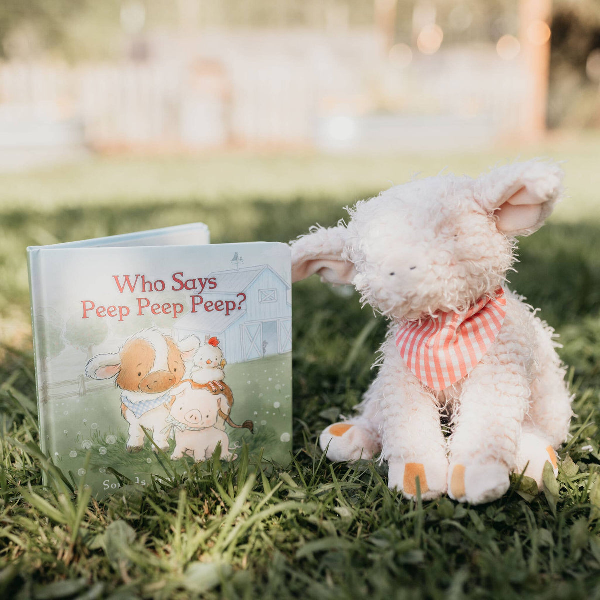 Who Says Peep Peep Board Book